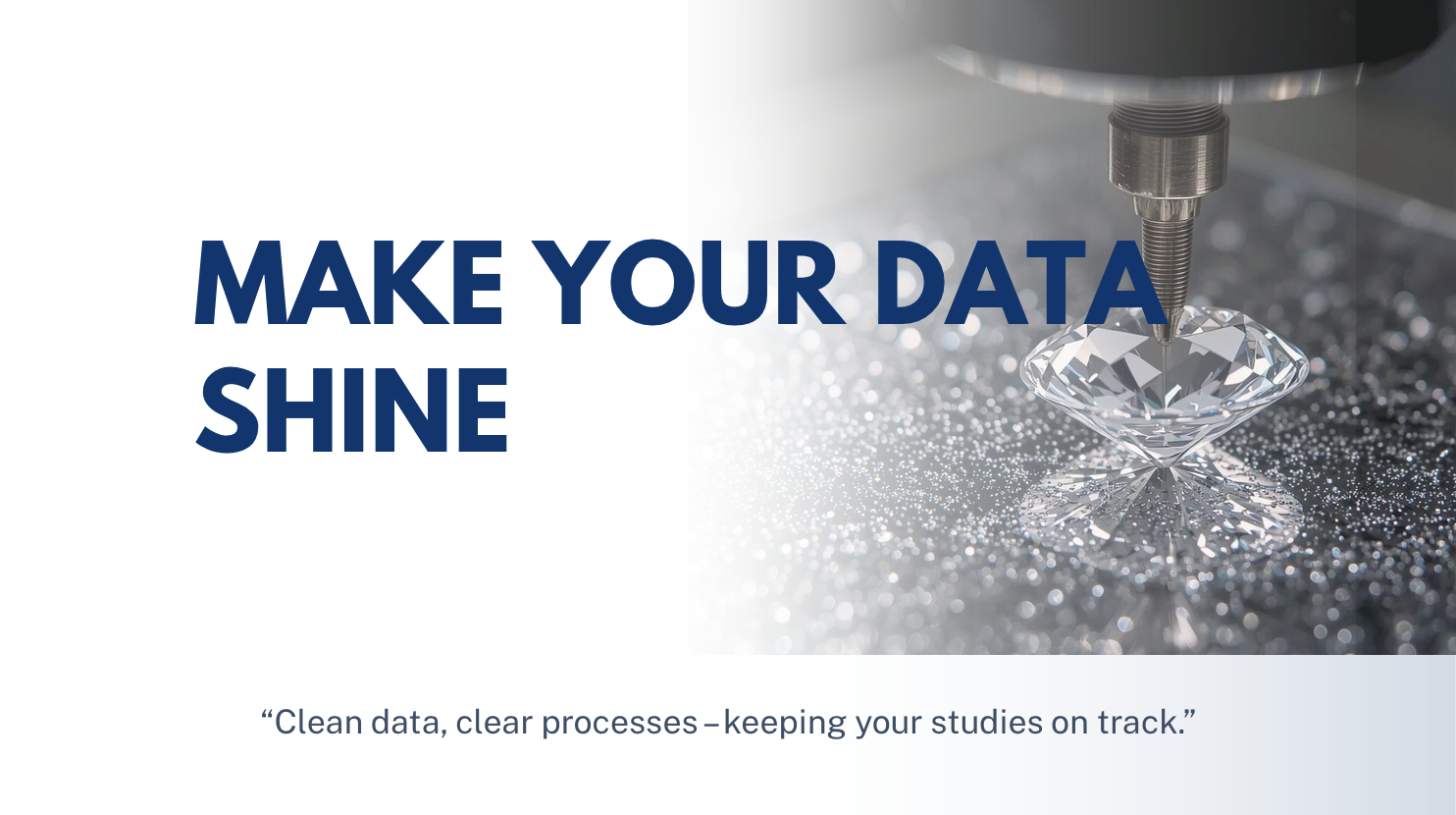 Efficient query resolution and data cleaning in clinical studies