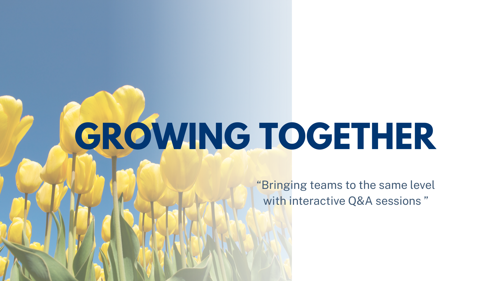 Camovis Project Training Service